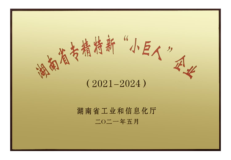 湖南省專精特新“小巨人企業”